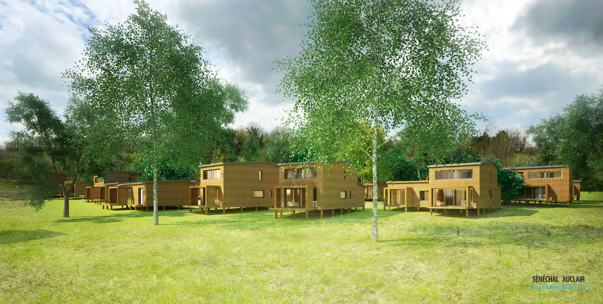 2308-ECOTECHNIC-Vue la lisière
